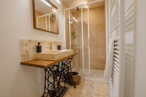 a bathroom with a sink and a shower at Le clos de la ferme in Chervey +22 photos