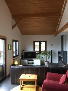 a living room with a couch and a tv at Cozy chalet with panoramic views in Leysin in Leysin