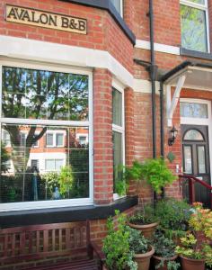 a brick building with potted plants in front of a window at Avalon B&B Scarborough in Scarborough