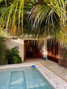 a swimming pool in front of a house with a palm tree at Apartamentos "Ala Residencias" in Chetumal