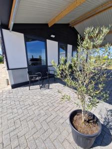 a potted tree in a pot on a patio at Bed&Boerderij De Veldmuis in Eemdijk