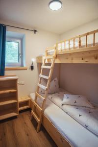 a bunk bed with a ladder in a bedroom at Appartementhaus Bergkristall in Kartitsch