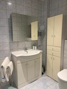 a bathroom with a sink and a mirror at Langerhof in Hannersdorf +33 photos