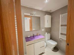 a bathroom with a purple sink and a toilet at Apartaments Ca L'Albert in La Pobla de Segur +68 photos