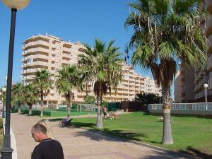 a woman walking down a sidewalk in a park with palm trees at APCOSTAS - Puerto Playa in Los Urrutias