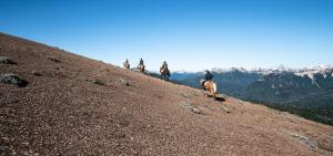 a group of people riding horses up a hill at Hermoso Eco Lodge in San Martín de los Andes +60 photos