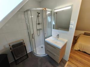 a bathroom with a shower and a sink at La Maisonnette Montlouisienne in Montlouis-sur-Loire +9 photos