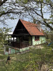 a dog walking in front of a house at Hygge Pržno in Pržno