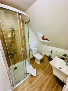 a bathroom with a shower and a toilet and a sink at Casa Rogin in Buhalniţa +32 photos
