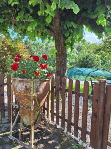 a planter with red flowers in it next to a fence at Al Vecchio Lavatoio - Relax in collina in Colle Brianza