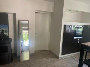 a living room with a black refrigerator and a mirror at Appartement calme et serein in Vals-près-le-Puy