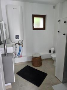 a bathroom with a toilet and a sink and a window at la longère du moulin in Noyers-sur-Cher +4 photos