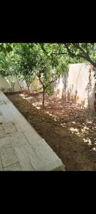 a park with trees on the side of a sidewalk at Maison indépendante pieds dans l'eau in Sousse +1 photo