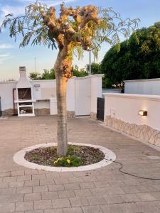a tree in a circle in a courtyard at Romano Holiday 3 in Marina di Pescoluse