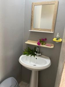 a bathroom with a sink and a mirror at NAEHU TEMAUI A MATUANUI Lodge in Tiputa +52 photos