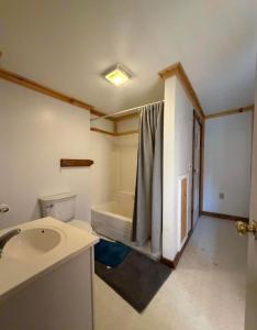 a bathroom with a sink and a bath tub at Leapin leanas in Monson