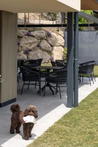 two dogs standing next to each other on a patio at B&B Antenhofer Lovere in Lovere