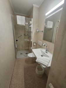 a bathroom with a shower and a sink and a toilet at Appartement Maria Leiter in Sillian