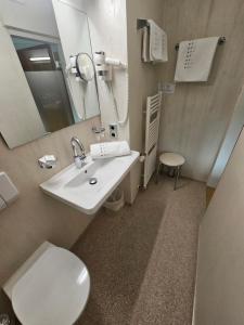 a bathroom with a sink and a toilet and a mirror at Appartement Maria Leiter in Sillian +8 photos