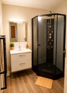 a bathroom with a shower and a sink at le Logis d'Argenson in Beaulieu-sous-Parthenay +18 photos