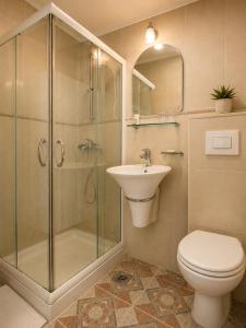 a bathroom with a shower and a toilet and a sink at Hotel Radmilovac in Belgrade +32 photos
