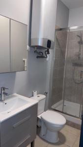 a bathroom with a toilet and a sink and a shower at appartement de 45 m sur cour centre ville de morez in Morez