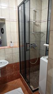 a bathroom with a shower and a toilet and a sink at Apartman i Studio apartman Majoli in Kukuljanovo +18 photos