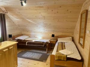 a room with two beds in a log cabin at Brvnarica na reci in Brus +22 photos