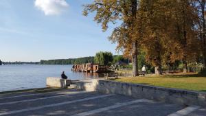 a man sitting on a wall next to a lake at Ferienwohnung Bandow in Woltersdorf