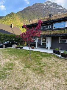 ein Haus mit einem Baum im Garten und einem Berg in der Unterkunft LeiraLy in Veblungsnes