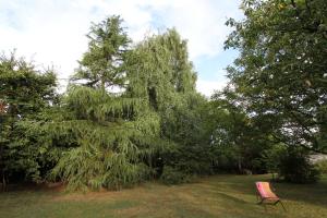 a chair sitting in front of a tree at La Haute Flourie - bed and breakfast -chambres d'hôtes in Saint Malo
