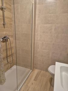 a bathroom with a shower and a toilet and a sink at CARAVELL ARMAÇÃO de PÊRA in Armação de Pêra +3 photos