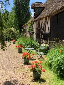 a garden with flowers in pots in front of a building at la yourte du moulin in Champrond