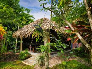 a hut with a thatched roof in a forest at Wildlife Lodge Cahuita in Cahuita