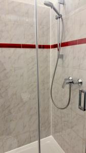 a shower with a glass door in a bathroom at Central Apartments Hof in Hof