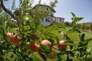 an apple tree with a house in the background at Villa SALAM in Ifrane