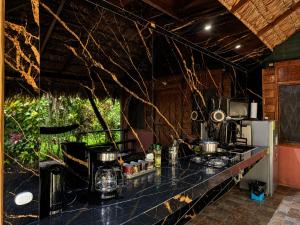 a kitchen with a counter top with a counter top at Wildlife Lodge Cahuita in Cahuita