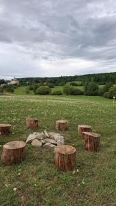 a group of tree stump benches in a field at Teepee u Vlčího potoka in Jičíněves +18 photos