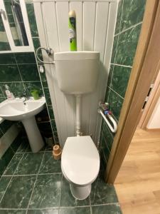 a bathroom with a toilet and a sink at Nagyerdő Naplemente Apartman Debrecen in Debrecen +21 photos