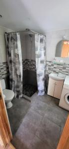 a bathroom with a shower and a toilet and a sink at Sodyba pas Babą - Apartamentai SMILGIJA Šventoji in Palanga +28 photos