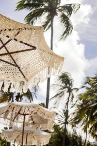 a group of straw umbrellas in front of palm trees at Villa Cote Sud Pousada De Charme - Pé na Areia in São Miguel dos Milagres