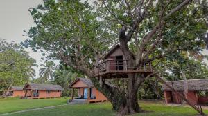 a tree house in the middle of a tree at Maeva Beach in Sainte Marie