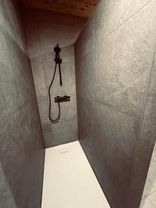 a shower with a hose attached to a wall at Nest Lodge in Weissbriach +60 photos
