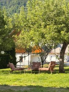 a group of chairs sitting in the grass under a tree at Apartments Gorje Hideaway in Spodnje Gorje
