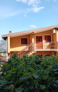 a house in the middle of a field of crops at Oasis - Oaza in Sutomore