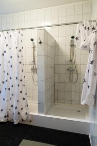 a bathroom with a shower with stars on the shower curtain at Hostel 1550 in Moravske-Toplice