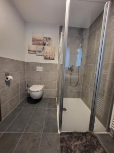 a bathroom with a shower and a toilet in it at Helle Wohnung im schönen Allgäu in Kraftisried