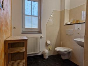 a bathroom with a toilet and a sink and a window at Apartmenthaus Ostseeluft in Lohme +34 photos