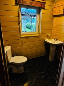 a bathroom with a toilet and a sink at River Kemping in Jūrmala