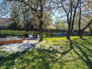 a hammock in a yard with trees and a fence at Agroturystyka Przy Stajni in Zbylutów